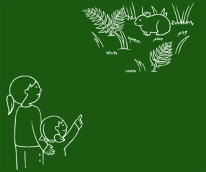 奄美大島世界遺産センター 展示室案内板イラスト