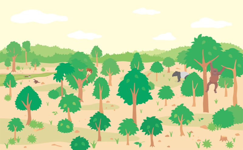 滅びゆく動物図鑑　1 棲む場所を追われる動物たちイラスト ページ抜粋