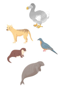 滅びゆく動物図鑑　3 外来種・環境汚染のためにいなくなる動物たちイラスト