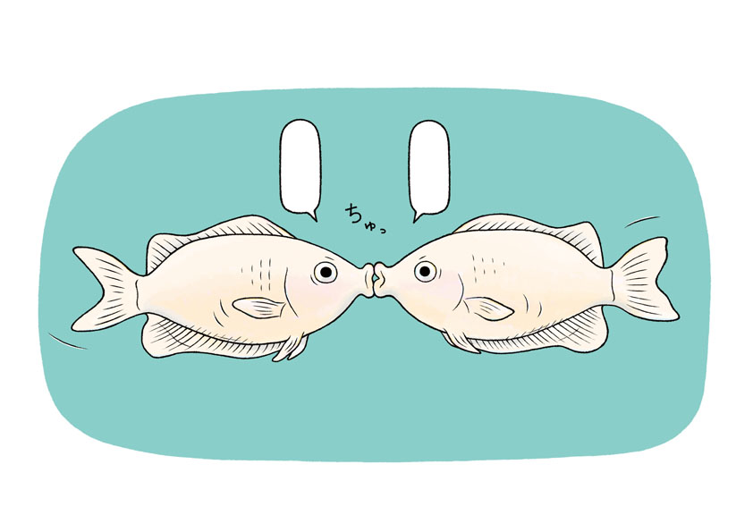 「サンシャイン水族館×高橋書店『ざんねんないきもの事典』シリーズ ざんねんないきもの展2」いきものイラスト抜粋