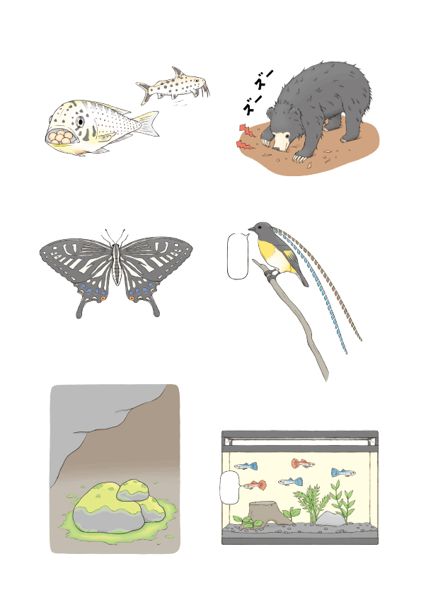 おもしろい！進化のふしぎ さらにざんねんないきもの事典 本文いきものイラスト