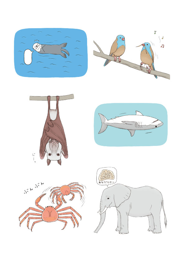 おもしろい！進化のふしぎ やっぱりざんねんないきもの事典 本文いきものイラスト ページ抜粋