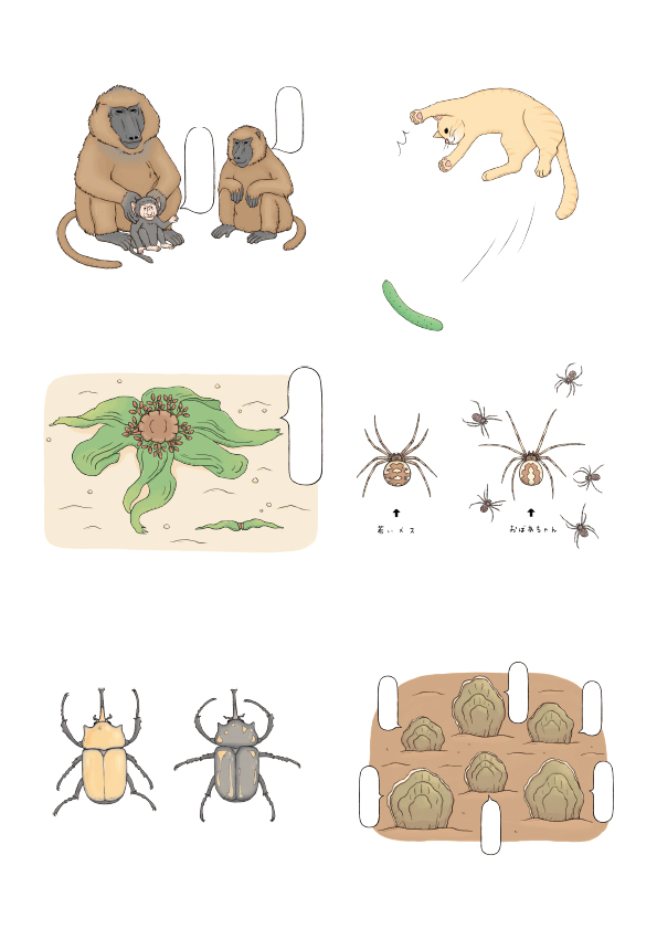おもしろい！進化のふしぎ もっとざんねんないきもの事典 本文いきものイラスト