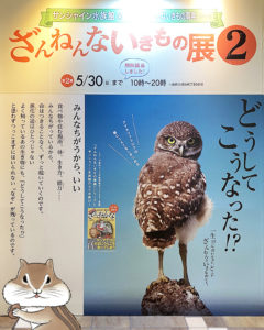 「サンシャイン水族館×高橋書店『ざんねんないきもの事典』シリーズ ざんねんないきもの展2」