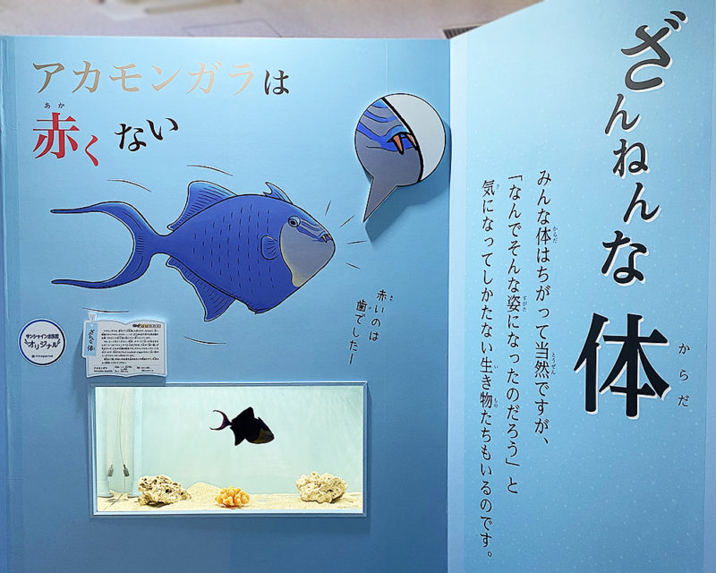 「サンシャイン水族館×高橋書店『ざんねんないきもの事典』シリーズ ざんねんないきもの展2」