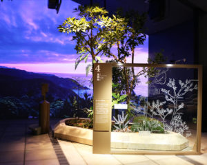 奄美大島世界遺産センター