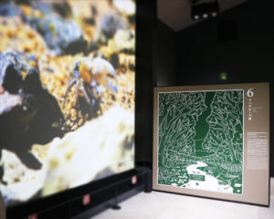 奄美大島世界遺産センター