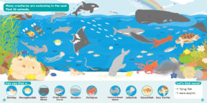 『SEEK, FIND, FUN! Animals』