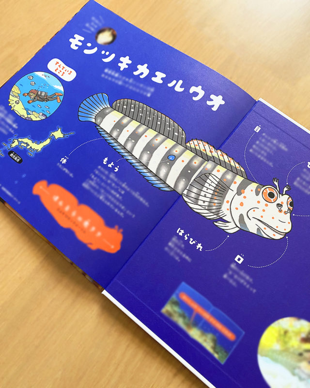 『にこにこモンツキカエルウオ』後ろ見返し