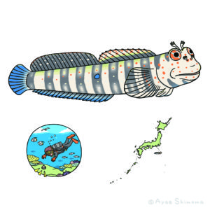 『にこにこモンツキカエルウオ』後ろ見返し