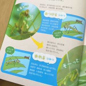 『しぜんキンダーブック』9月号