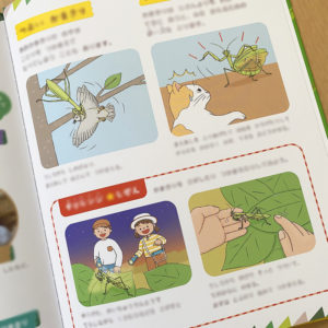 『しぜんキンダーブック』9月号