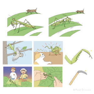 『しぜんキンダーブック』9月号