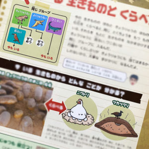 「かがく組」２年生 2025年度７号特集