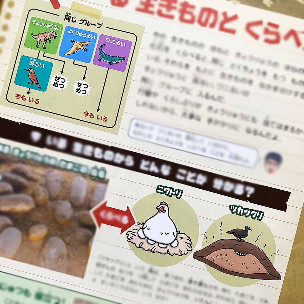 「かがく組」２年生 2025年度７号特集