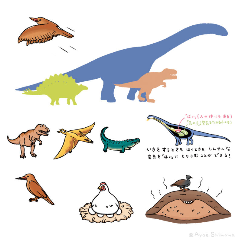 「かがく組」２年生 2025年度７号特集