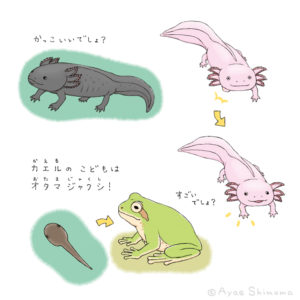 たのしい幼稚園 とってもふしぎ！おどろきのいきもの