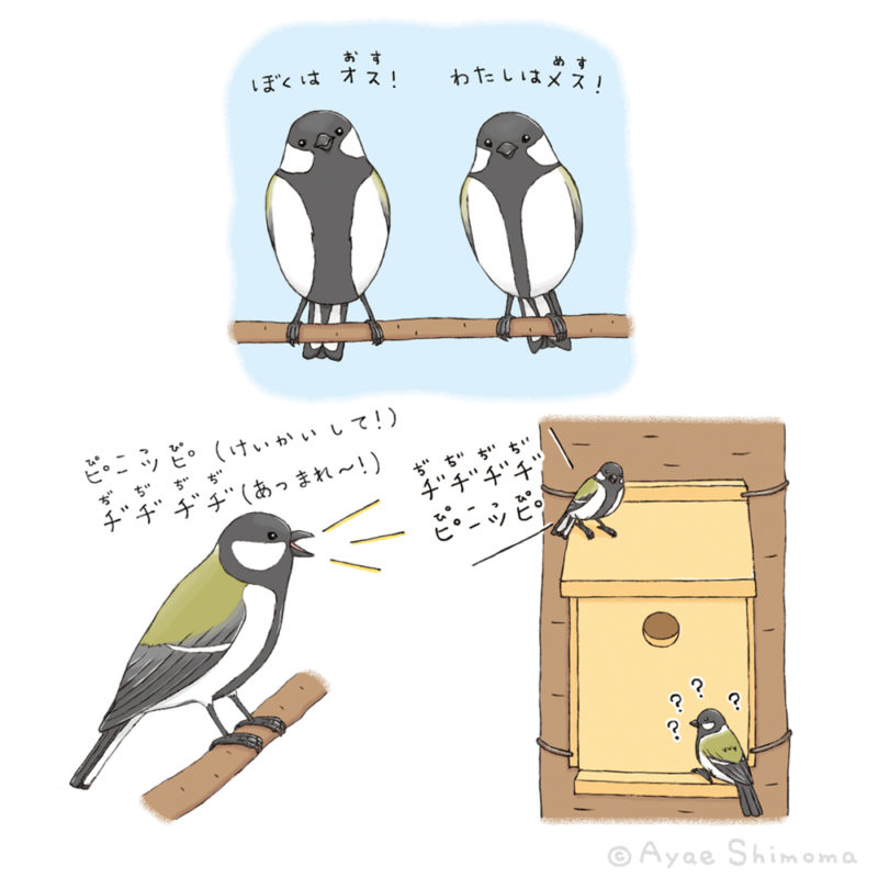 たのしい幼稚園 とってもふしぎ！おどろきのいきもの