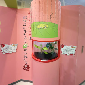 「サンシャイン水族館 特別展『ざんねんないきもの展３』」イラスト